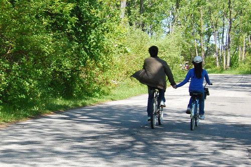Cycling through car-free pine avenues